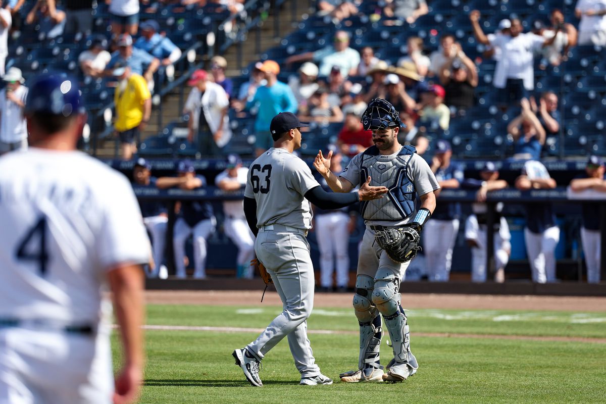 Austin Wells swings the bat during a Yankees game