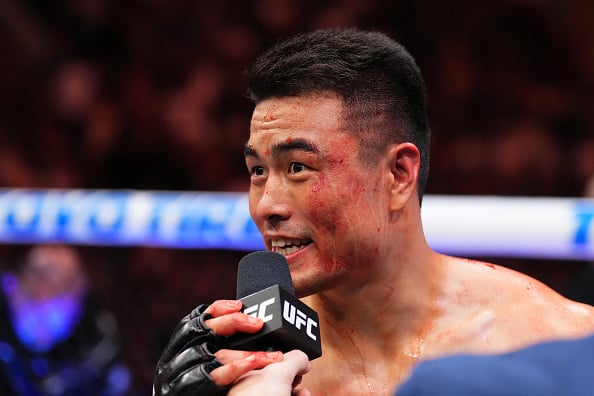 Jiří Procházka throws a punch during a UFC fight