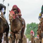 Sandman galloping at the Kentucky Derby, inspired by Metallica