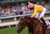 Godolphin Racing thoroughbred in action