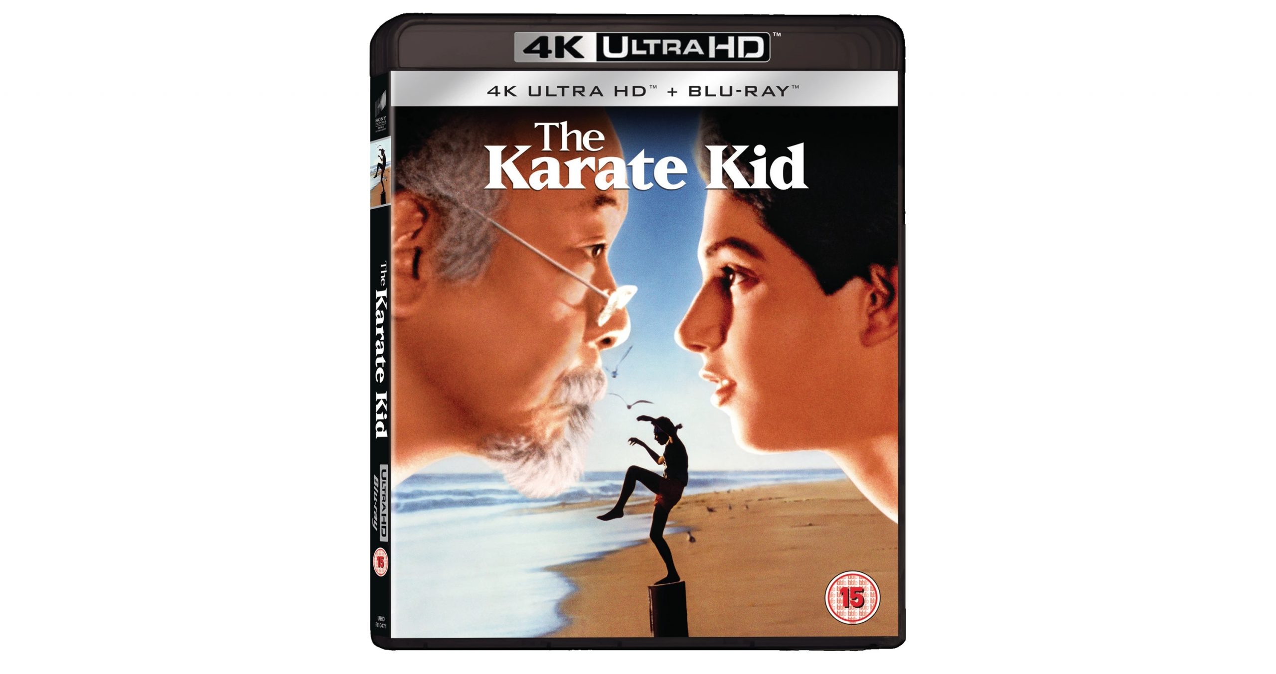 Ralph Macchio as The Karate Kid