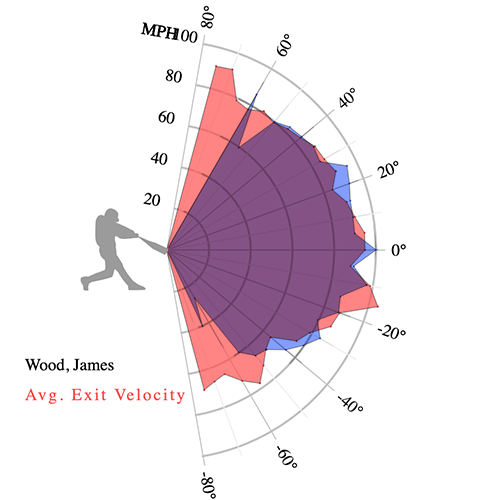 James Wood power hitting for the Nationals