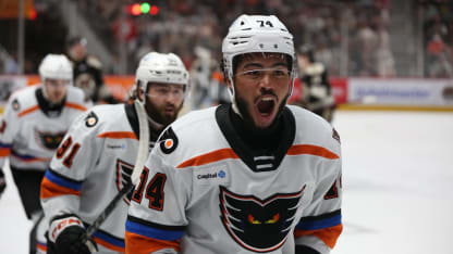 AHL playoff action featuring the Hershey Bears and Lehigh Valley Phantoms