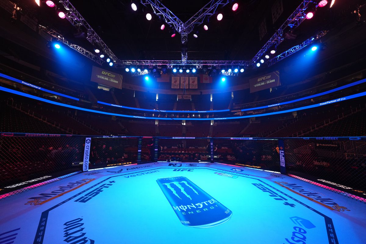 UFC 316 promotional event with fighters preparing for headline bouts