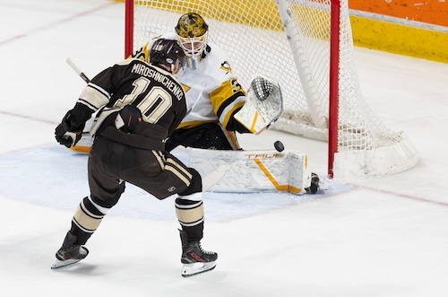 Hershey Bears celebrate a key playoff goal at Giant Center