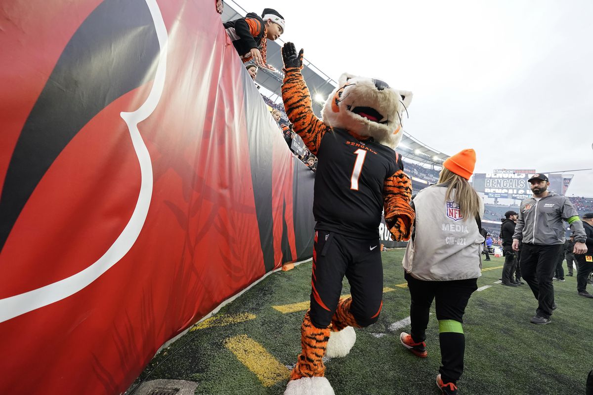 Cincinnati Bengals fans celebrate the NFL schedule release – bengals schedule 2025
