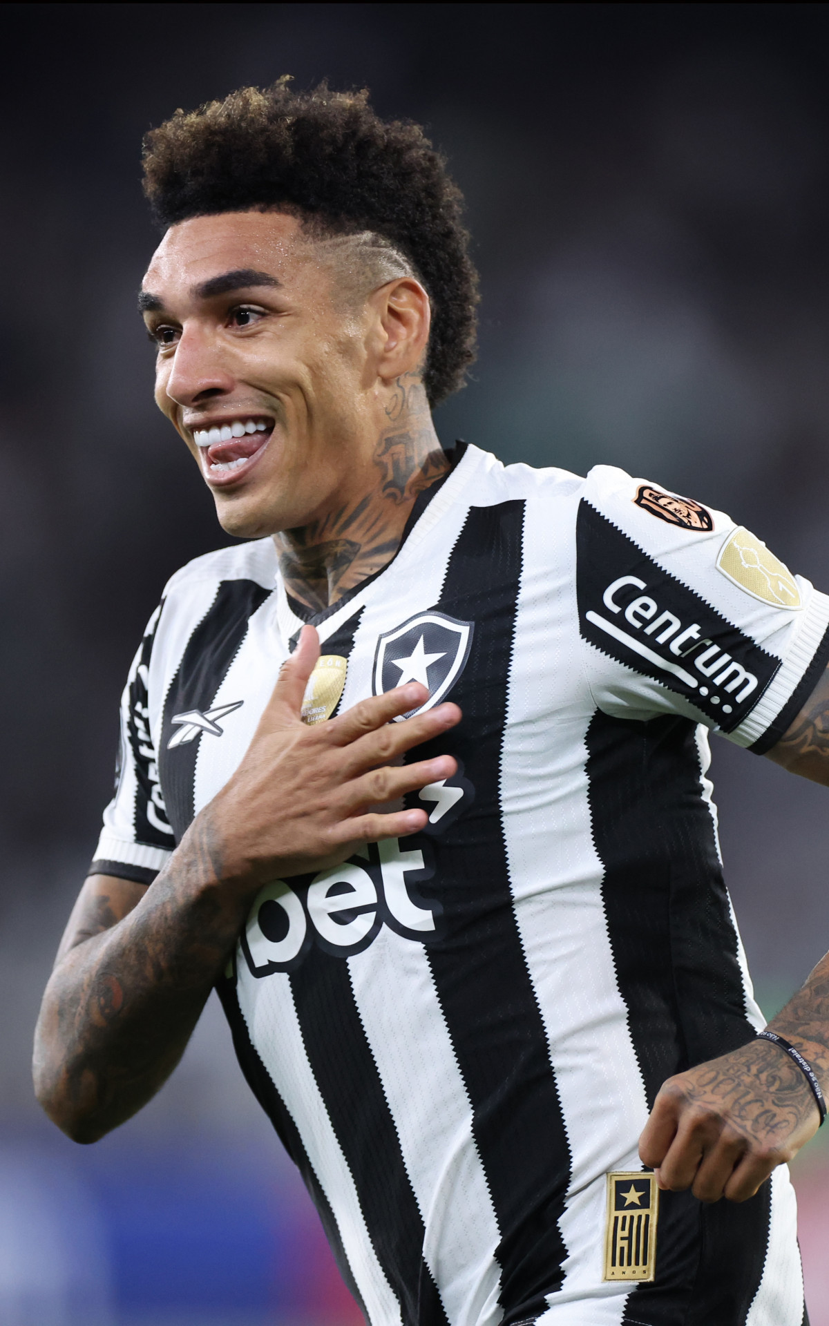 Torcida do Botafogo comemora vitória na Libertadores