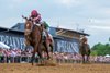 Preakness lineup horses at the starting gate in 2025