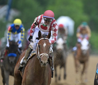 Journalism racing for the win at Preakness 2025