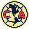 The excited crowd and soccer pitch during an America game match between LAFC and Club América