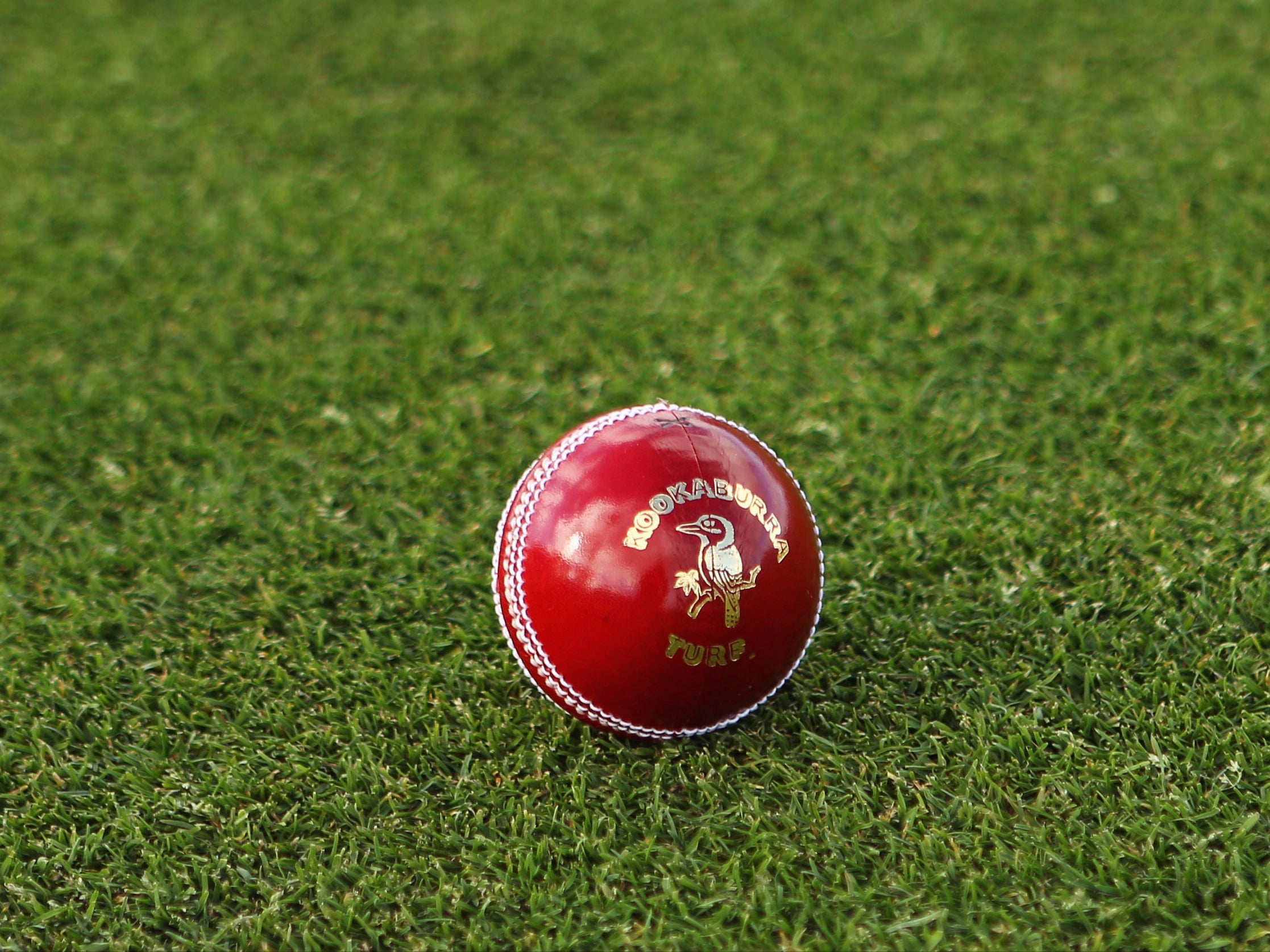 Players during Bangladesh national cricket team vs United Arab Emirates national cricket team match scorecard action in Sharjah